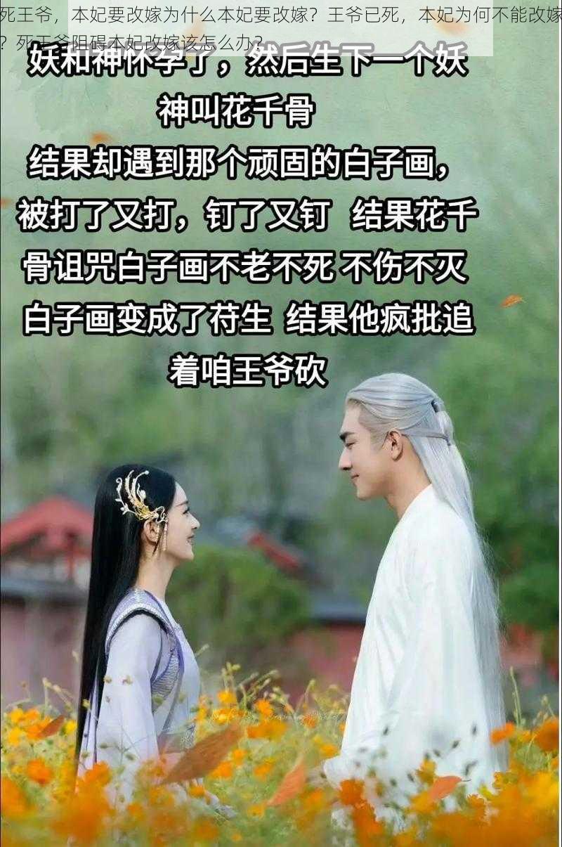 死王爷，本妃要改嫁为什么本妃要改嫁？王爷已死，本妃为何不能改嫁？死王爷阻碍本妃改嫁该怎么办？