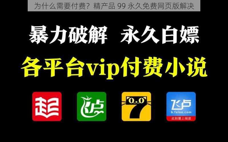 为什么需要付费？精产品 99 永久免费网页版解决