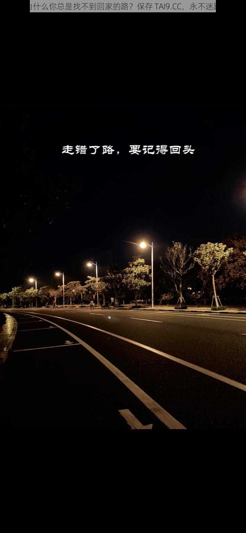 为什么你总是找不到回家的路？保存 TAI9.CC，永不迷路