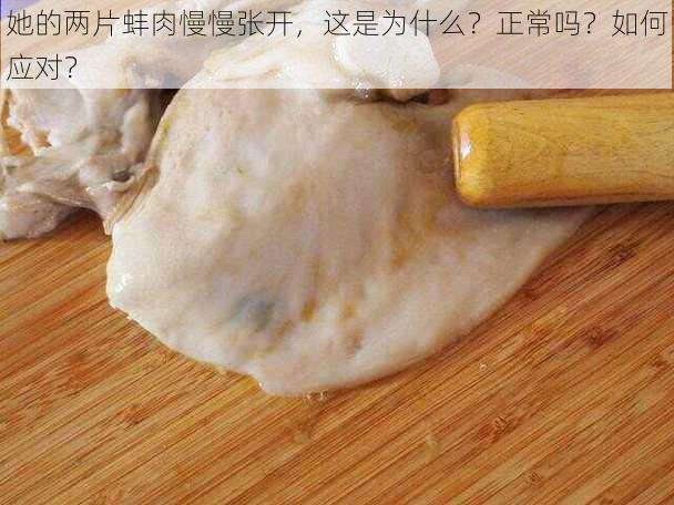 她的两片蚌肉慢慢张开，这是为什么？正常吗？如何应对？