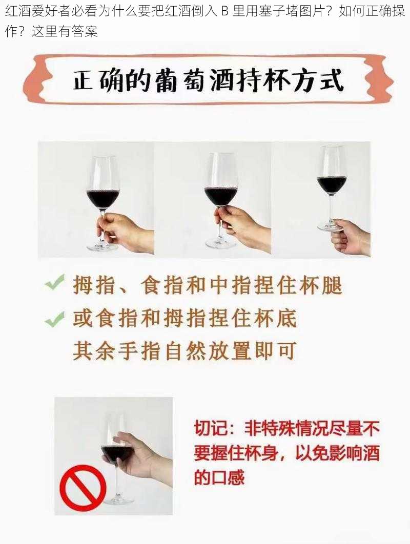 红酒爱好者必看为什么要把红酒倒入 B 里用塞子堵图片？如何正确操作？这里有答案