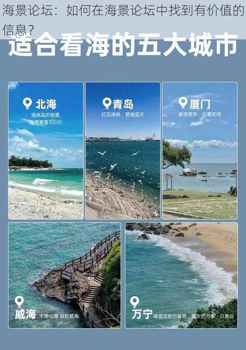 海景论坛：如何在海景论坛中找到有价值的信息？