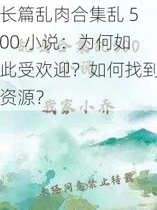 长篇乱肉合集乱 500 小说：为何如此受欢迎？如何找到资源？