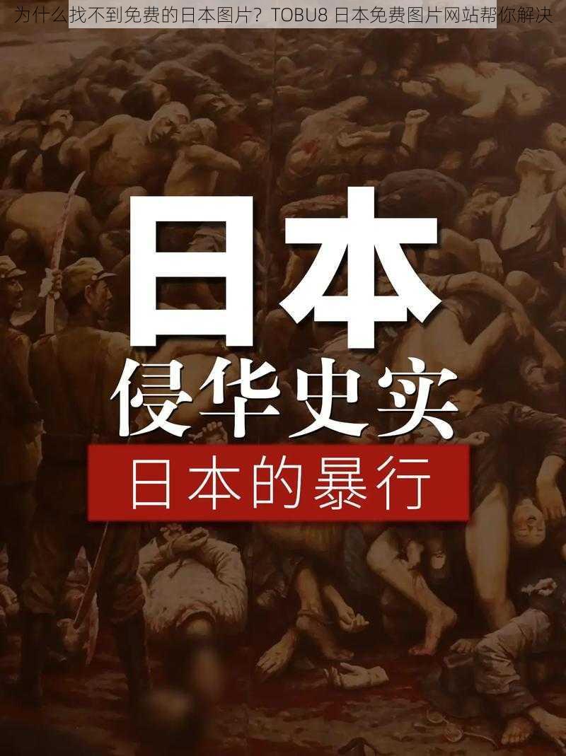 为什么找不到免费的日本图片？TOBU8 日本免费图片网站帮你解决