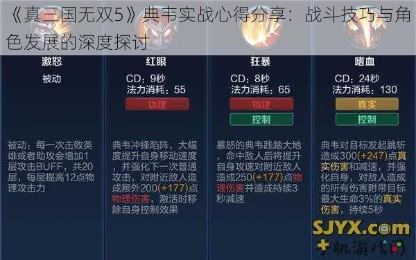 《真三国无双5》典韦实战心得分享：战斗技巧与角色发展的深度探讨