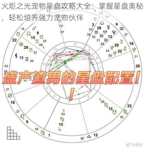 火炬之光宠物星盘攻略大全：掌握星盘奥秘，轻松培养强力宠物伙伴