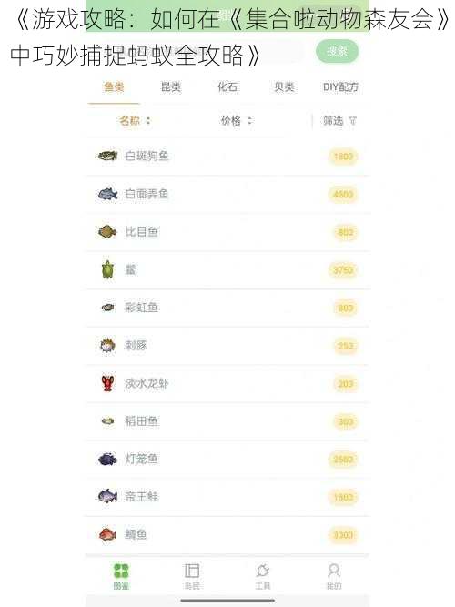 《游戏攻略：如何在《集合啦动物森友会》中巧妙捕捉蚂蚁全攻略》
