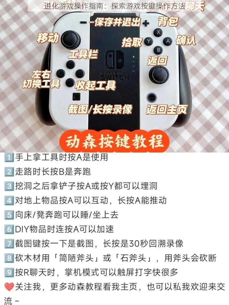 进化游戏操作指南：探索游戏按键操作方法