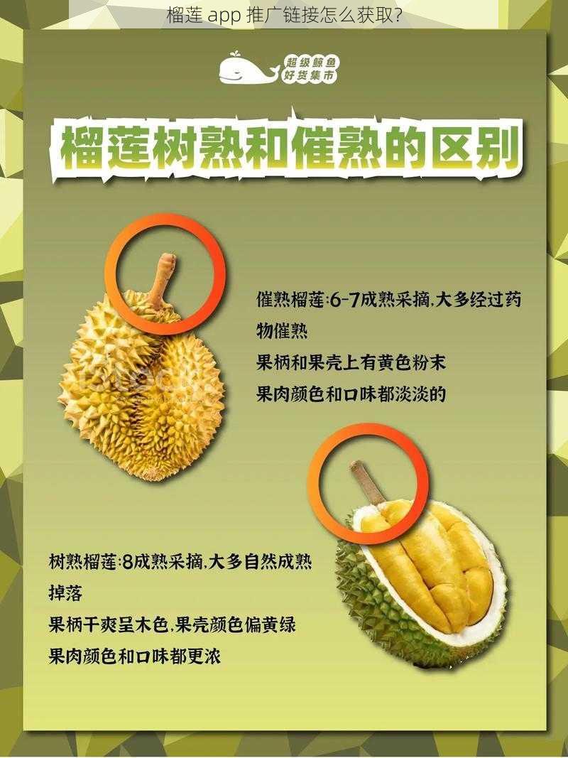 榴莲 app 推广链接怎么获取？