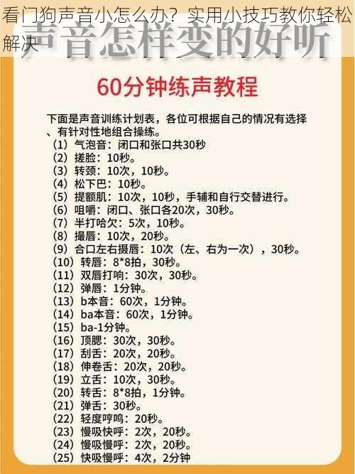 看门狗声音小怎么办？实用小技巧教你轻松解决