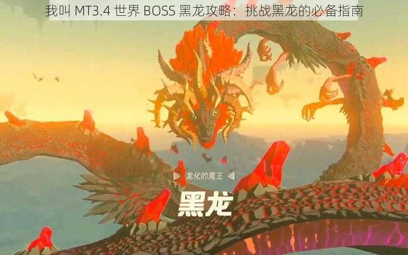 我叫 MT3.4 世界 BOSS 黑龙攻略：挑战黑龙的必备指南