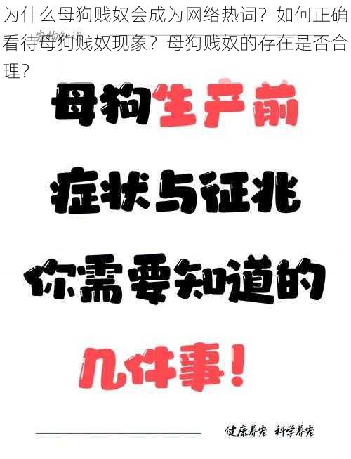 为什么母狗贱奴会成为网络热词？如何正确看待母狗贱奴现象？母狗贱奴的存在是否合理？