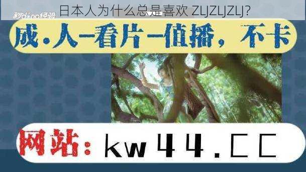 日本人为什么总是喜欢 ZLJZLJZLJ？