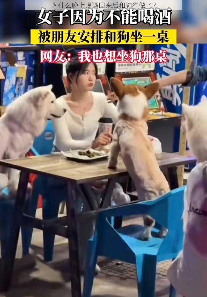 为什么晚上喝酒回来后和狗狗做了？