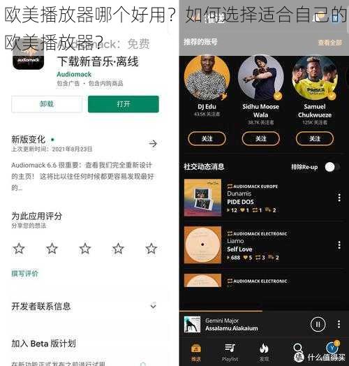 欧美播放器哪个好用？如何选择适合自己的欧美播放器？