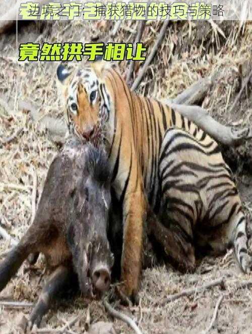 边境之门：捕获猎物的技巧与策略