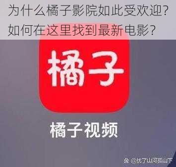 为什么橘子影院如此受欢迎？如何在这里找到最新电影？