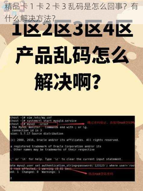 精品卡 1 卡 2 卡 3 乱码是怎么回事？有什么解决方法？