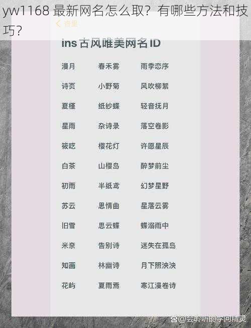 yw1168 最新网名怎么取？有哪些方法和技巧？