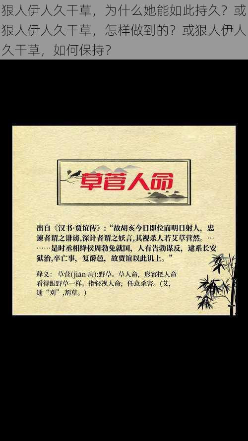 狠人伊人久干草，为什么她能如此持久？或狠人伊人久干草，怎样做到的？或狠人伊人久干草，如何保持？