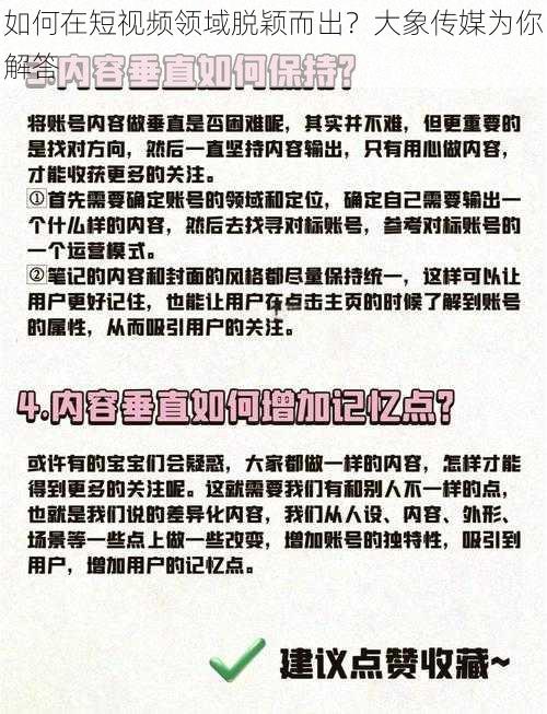 如何在短视频领域脱颖而出？大象传媒为你解答