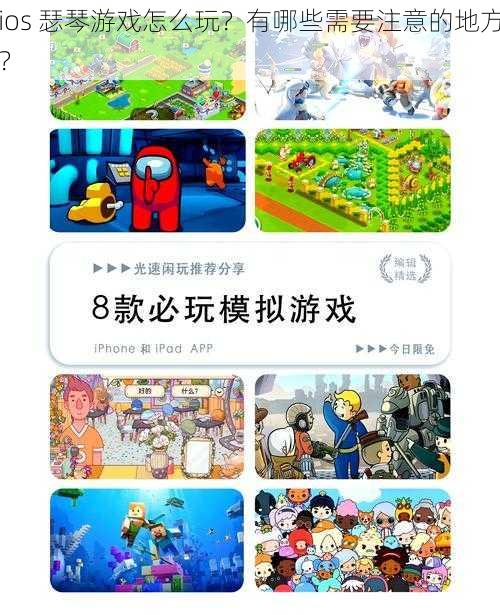 ios 瑟琴游戏怎么玩？有哪些需要注意的地方？