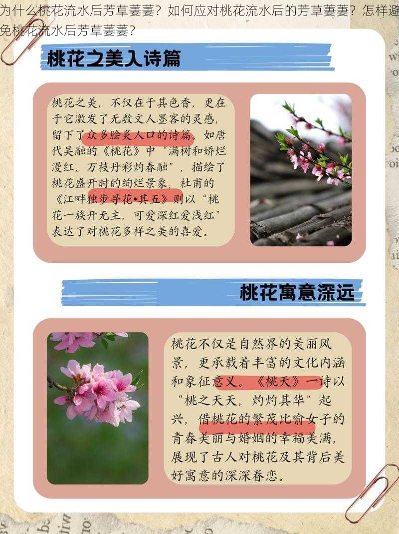 为什么桃花流水后芳草萋萋？如何应对桃花流水后的芳草萋萋？怎样避免桃花流水后芳草萋萋？