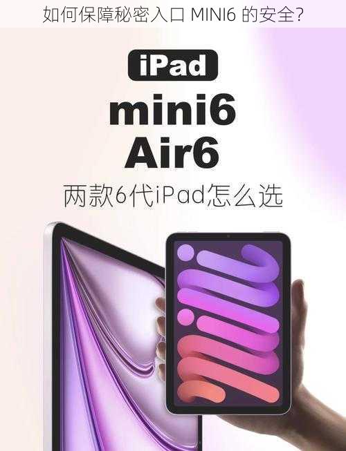 如何保障秘密入口 MINI6 的安全？