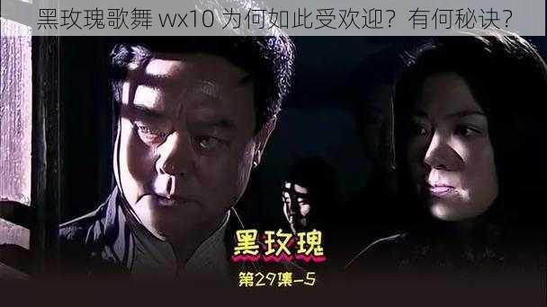 黑玫瑰歌舞 wx10 为何如此受欢迎？有何秘诀？