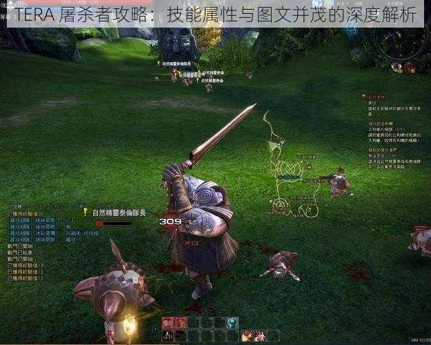 TERA 屠杀者攻略：技能属性与图文并茂的深度解析