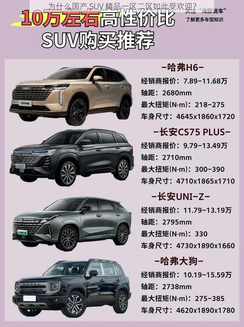 为什么国产 SUV 精品一区二区如此受欢迎？