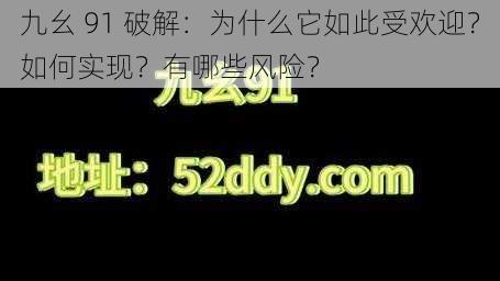 九幺 91 破解：为什么它如此受欢迎？如何实现？有哪些风险？