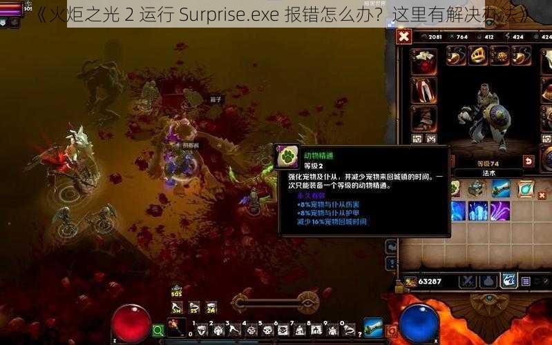 《火炬之光 2 运行 Surprise.exe 报错怎么办？这里有解决办法》