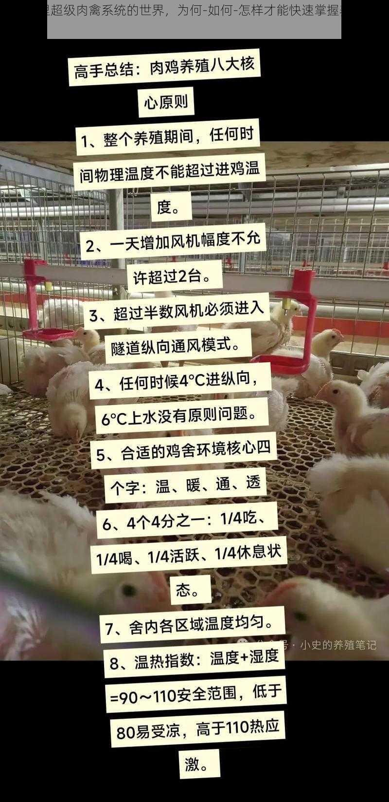 进入梦里超级肉禽系统的世界，为何-如何-怎样才能快速掌握养殖技巧？