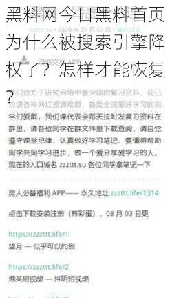 黑料网今日黑料首页为什么被搜索引擎降权了？怎样才能恢复？