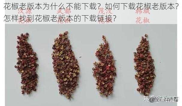 花椒老版本为什么不能下载？如何下载花椒老版本？怎样找到花椒老版本的下载链接？