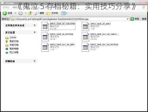 《鬼泣 5 存档秘籍：实用技巧分享》