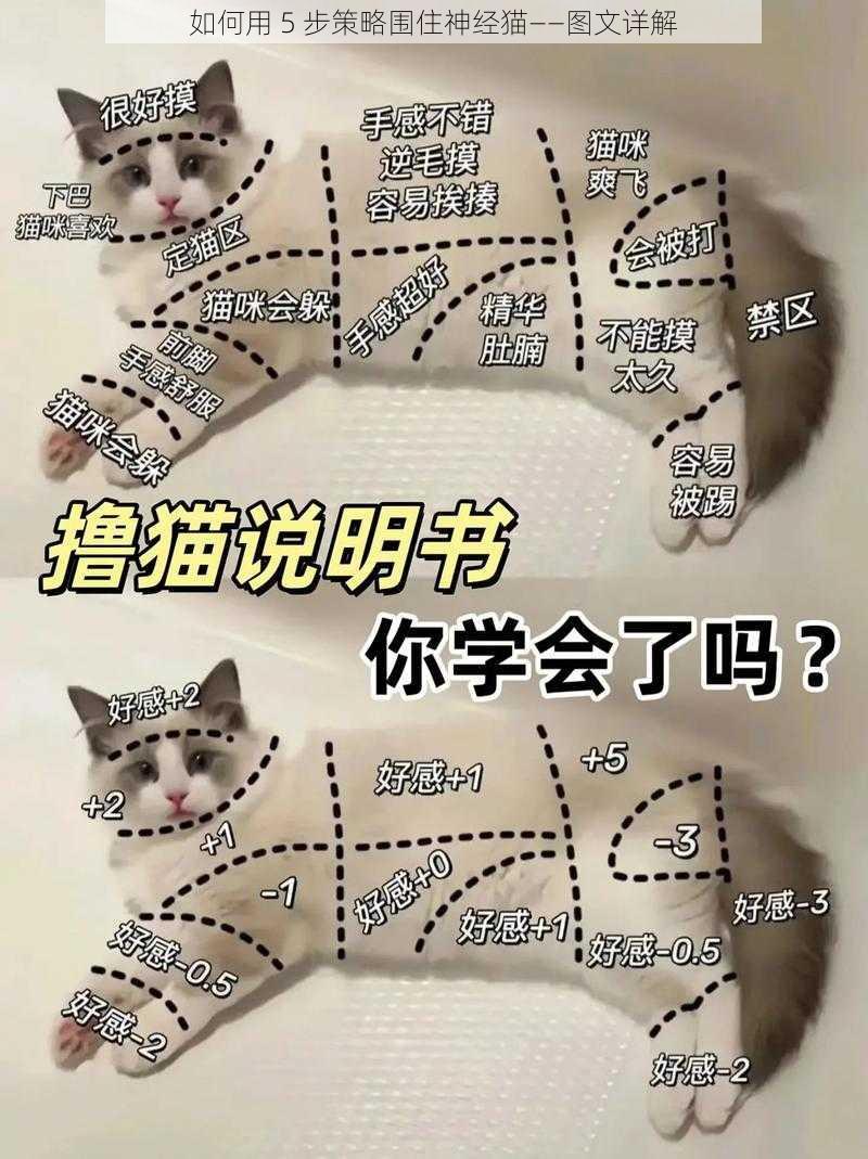 如何用 5 步策略围住神经猫——图文详解