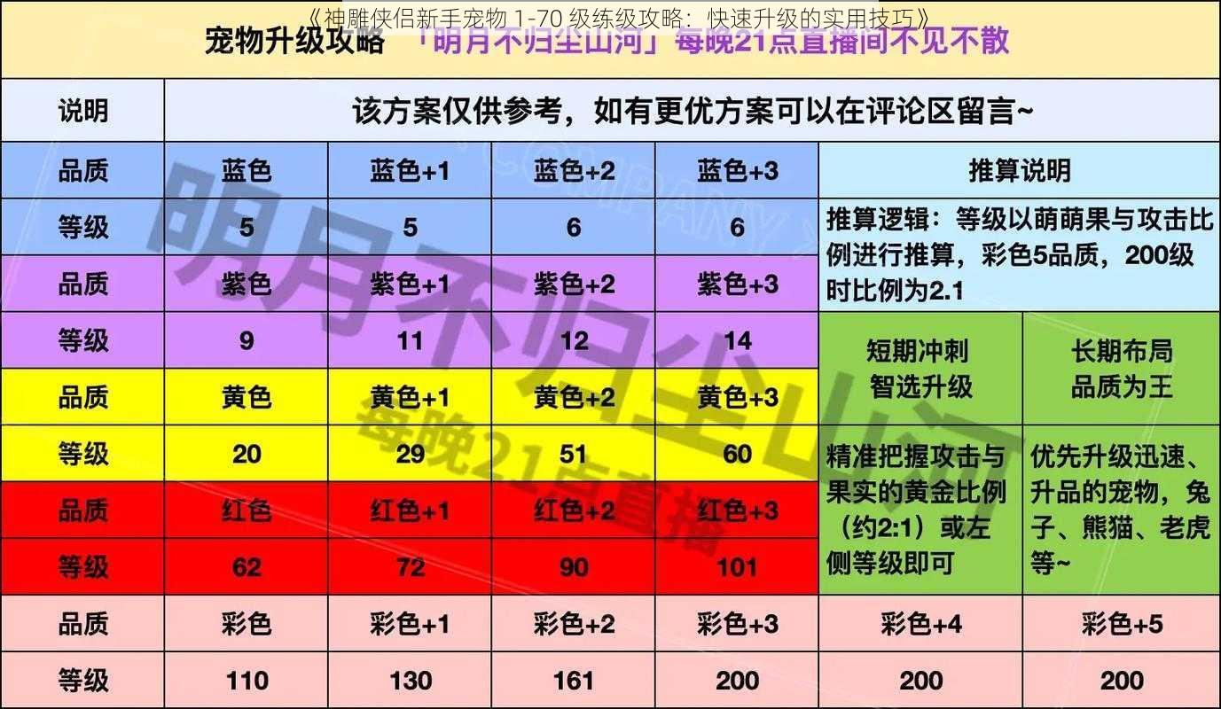 《神雕侠侣新手宠物 1-70 级练级攻略：快速升级的实用技巧》