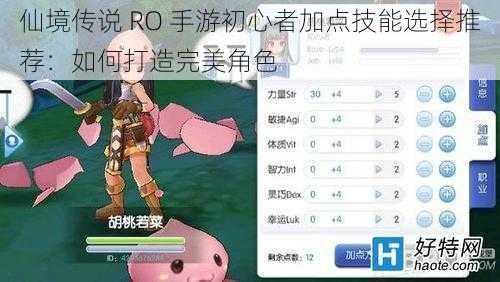 仙境传说 RO 手游初心者加点技能选择推荐：如何打造完美角色