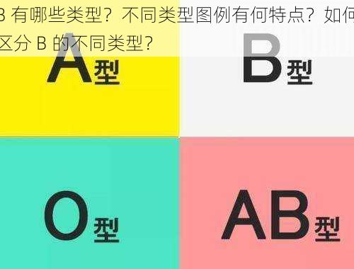 B 有哪些类型？不同类型图例有何特点？如何区分 B 的不同类型？