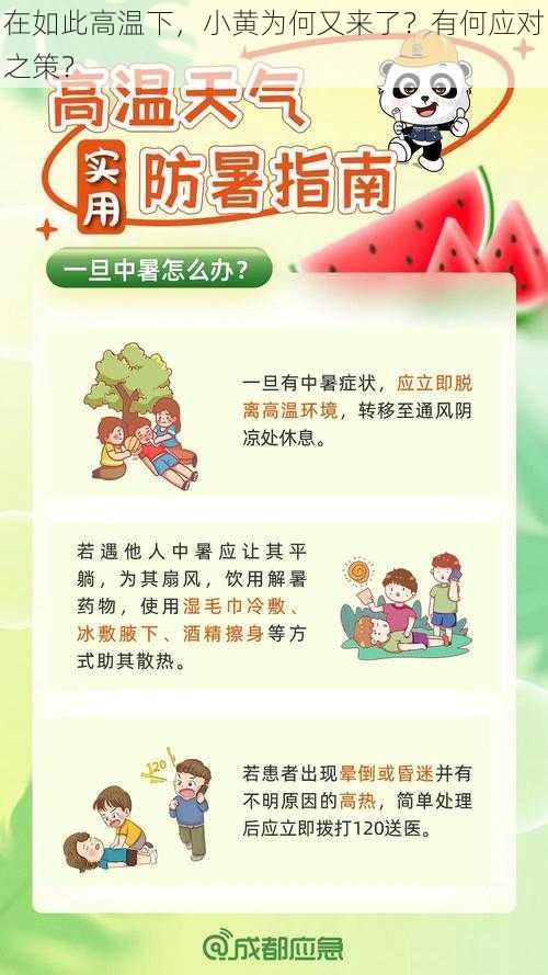 在如此高温下，小黄为何又来了？有何应对之策？