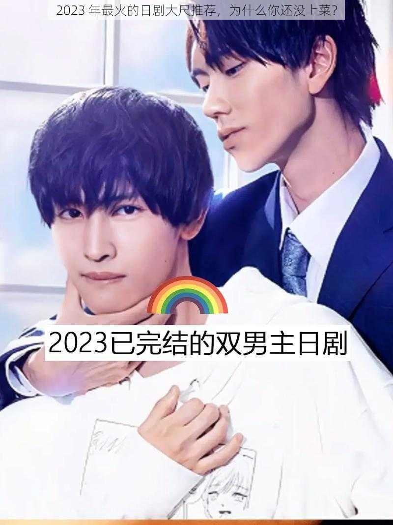 2023 年最火的日剧大尺推荐，为什么你还没上菜？