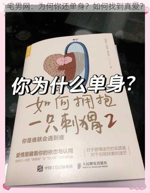 宅男网：为何你还单身？如何找到真爱？