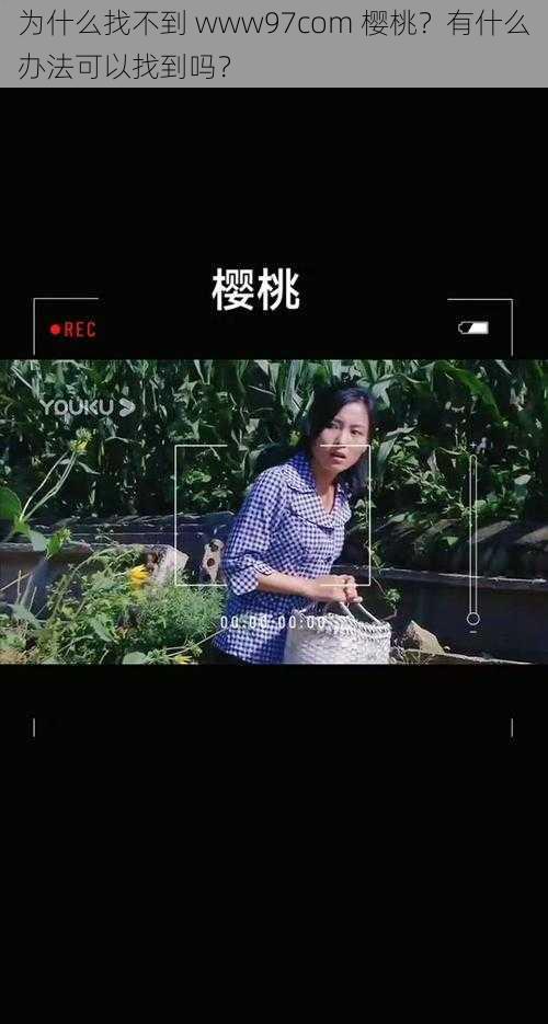 为什么找不到 www97com 樱桃？有什么办法可以找到吗？