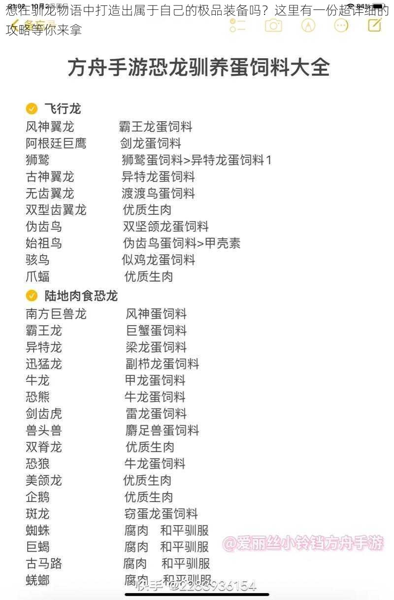 想在驯龙物语中打造出属于自己的极品装备吗？这里有一份超详细的攻略等你来拿