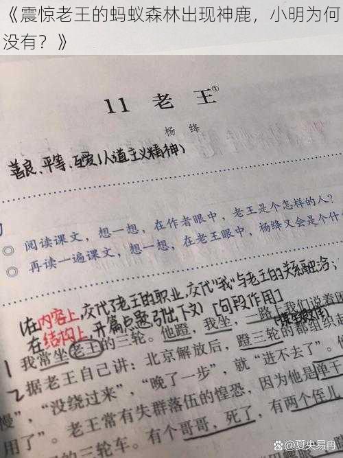 《震惊老王的蚂蚁森林出现神鹿，小明为何没有？》