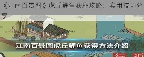 《江南百景图》虎丘鲤鱼获取攻略：实用技巧分享