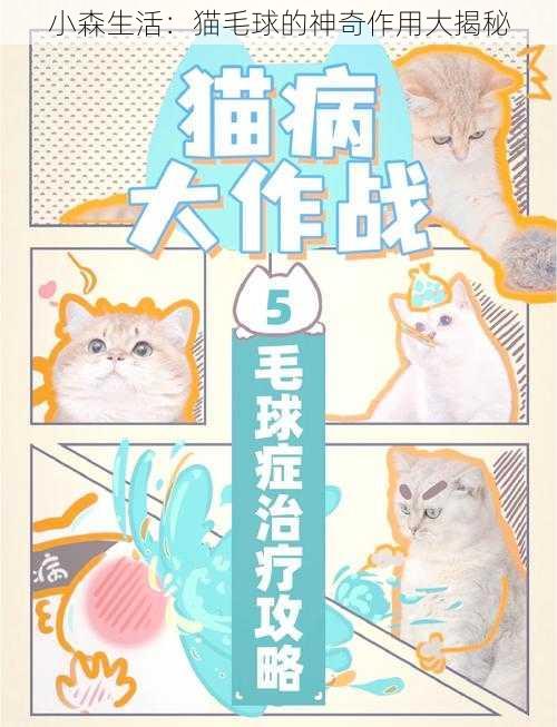 小森生活：猫毛球的神奇作用大揭秘