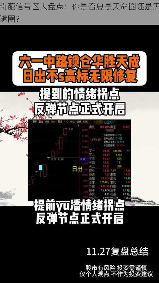 奇葩信号区大盘点：你是否总是天命圈还是天谴圈？